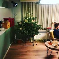 Kerstboom-set-Talpa
